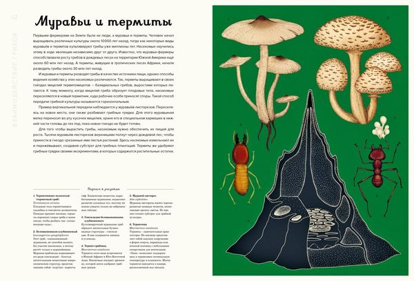 Грибариум