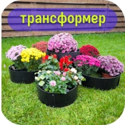 Клумба цветник