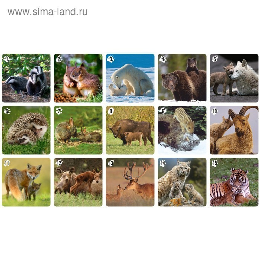 Ми-Ми-Мемо: Дикие Животные