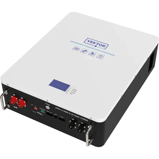 Аккумулятор Литиевый Vektor Energy LFP 51,2-100W (BMS 100A)