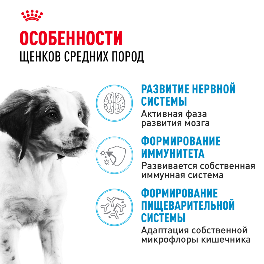 Royal Canin Medium Puppy Медиум Паппи Корм сухой для щенков средних размеров до 12 месяцев в период роста 3кг
