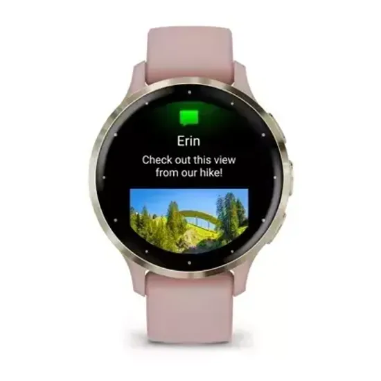 Смарт-часы Garmin VENU 3S dust rose case and silicone band 010-02785-03