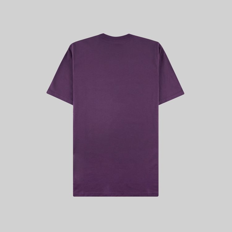 Футболка мужская Carhartt WIP Script артикул:I029915 - купить в магазине Дайс