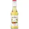 sirop MONIN L'Artiste "Hazelnut" 250ml