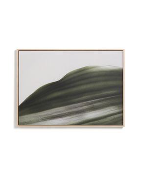 Фотография листа Foliae размер 52 x 72 см