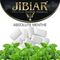 JiBiAr - Absolute Menthe (50g)