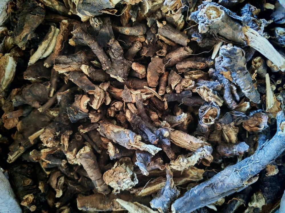 Патриния скальная (безразличка) корень Киргизия