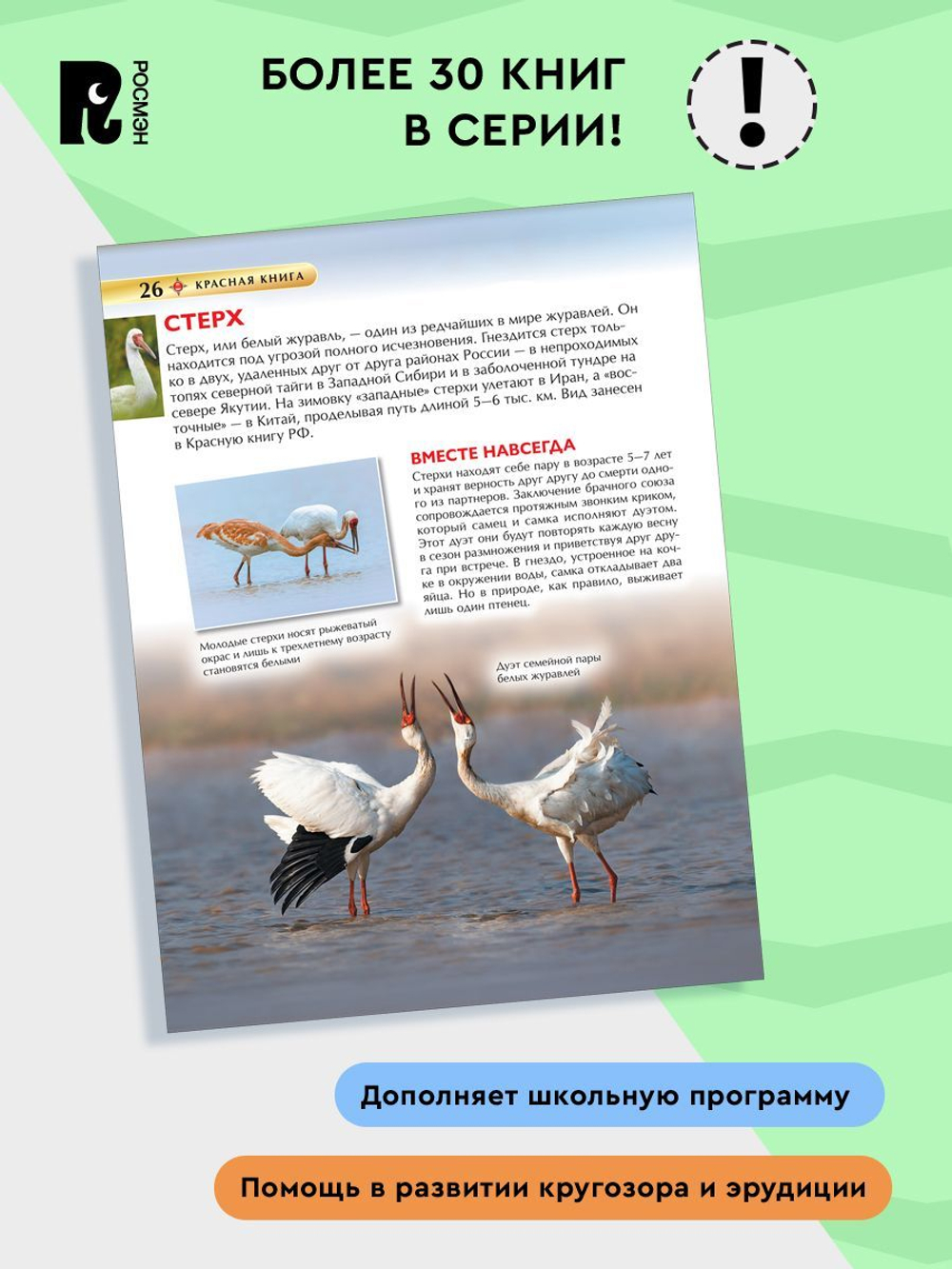Красная книга. Детская энциклопедия