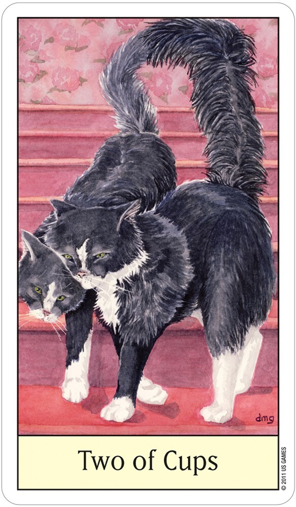 Cat's Eye Tarot / Таро Глаза Кошки