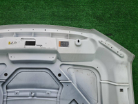 Капот Ford F-150 8 (2014-2020)