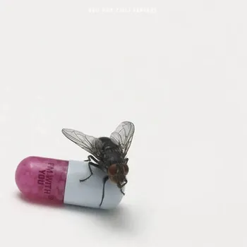 RED HOT CHILI PEPPERS I'm with You (2Винил)