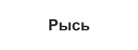 Рысь