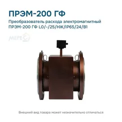 Преобразователь расхода электромагнитный ПРЭМ-200 ГФ L0/-/25/НЖ/IP65/24/B1