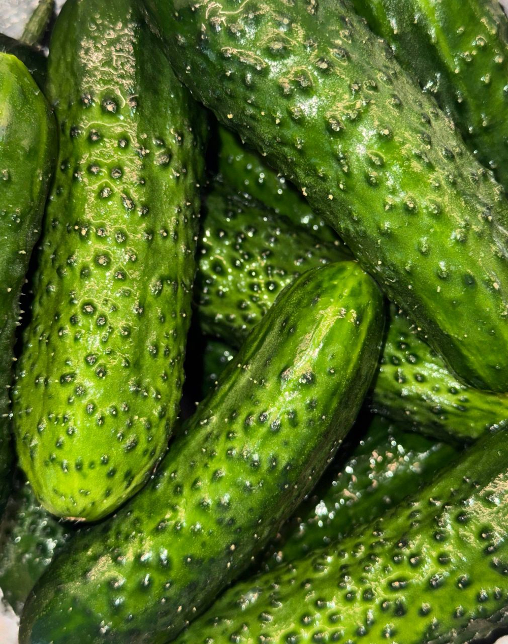 Огурцы колючие "Колхоз №1", 500 г (стоимость указана за 500 г, вес может отличаться)