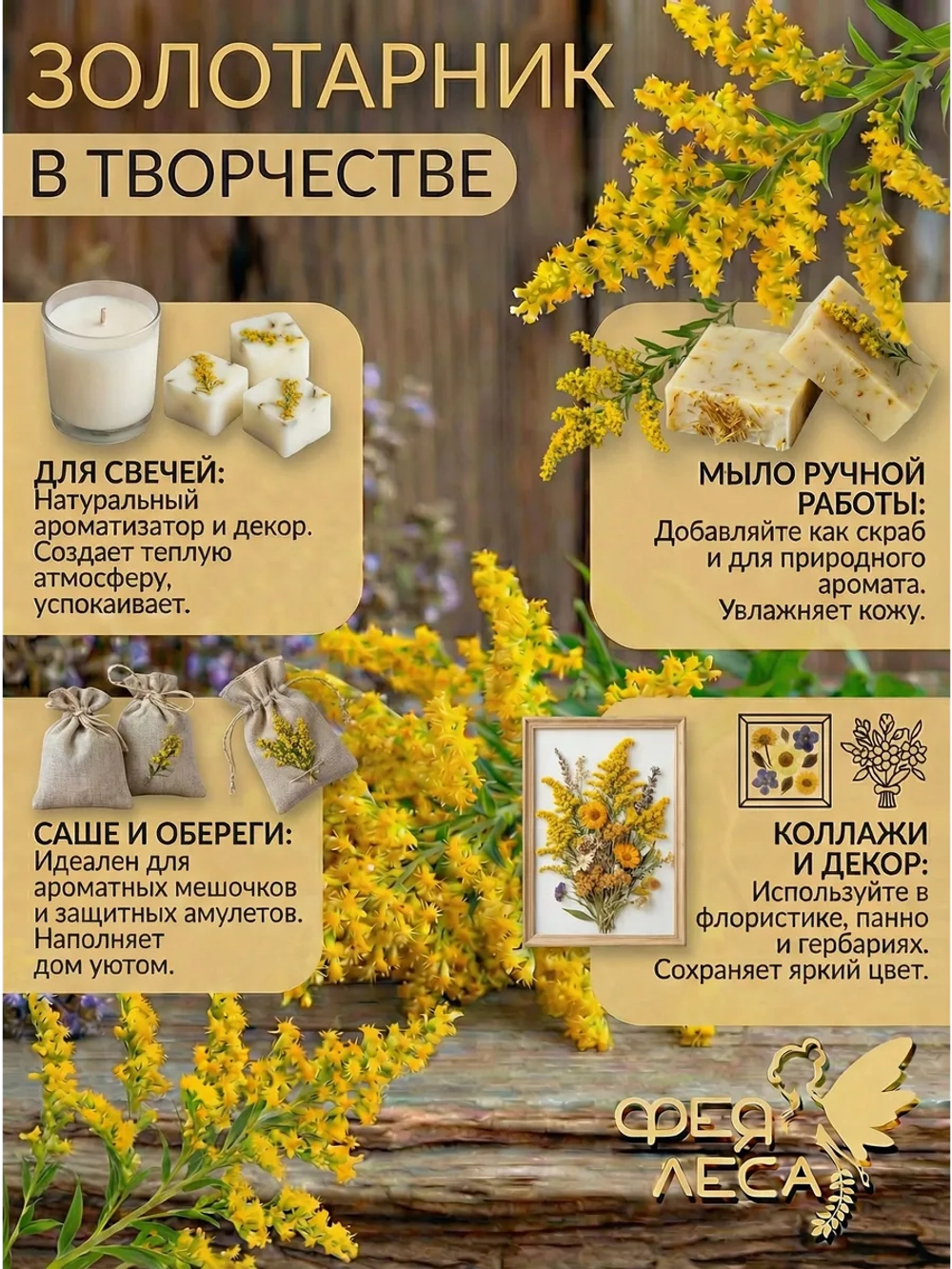Золотарник (Золотая розга) для свечей