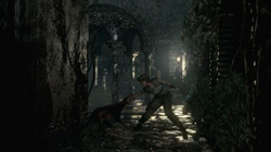 Resident Evil Origins Collection (диск для PS4, полностью на английском языке)