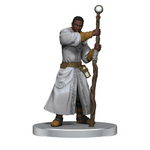 D&D Icons of the Realms: Dragonlance - Warrior Set