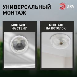 Светильник ЭРА НБП 06-60-101 с фото-шумовым датчиком Сириус IP54 E27 max 60Вт D220 круг призма акустический | Светильники ЖКХ IP54