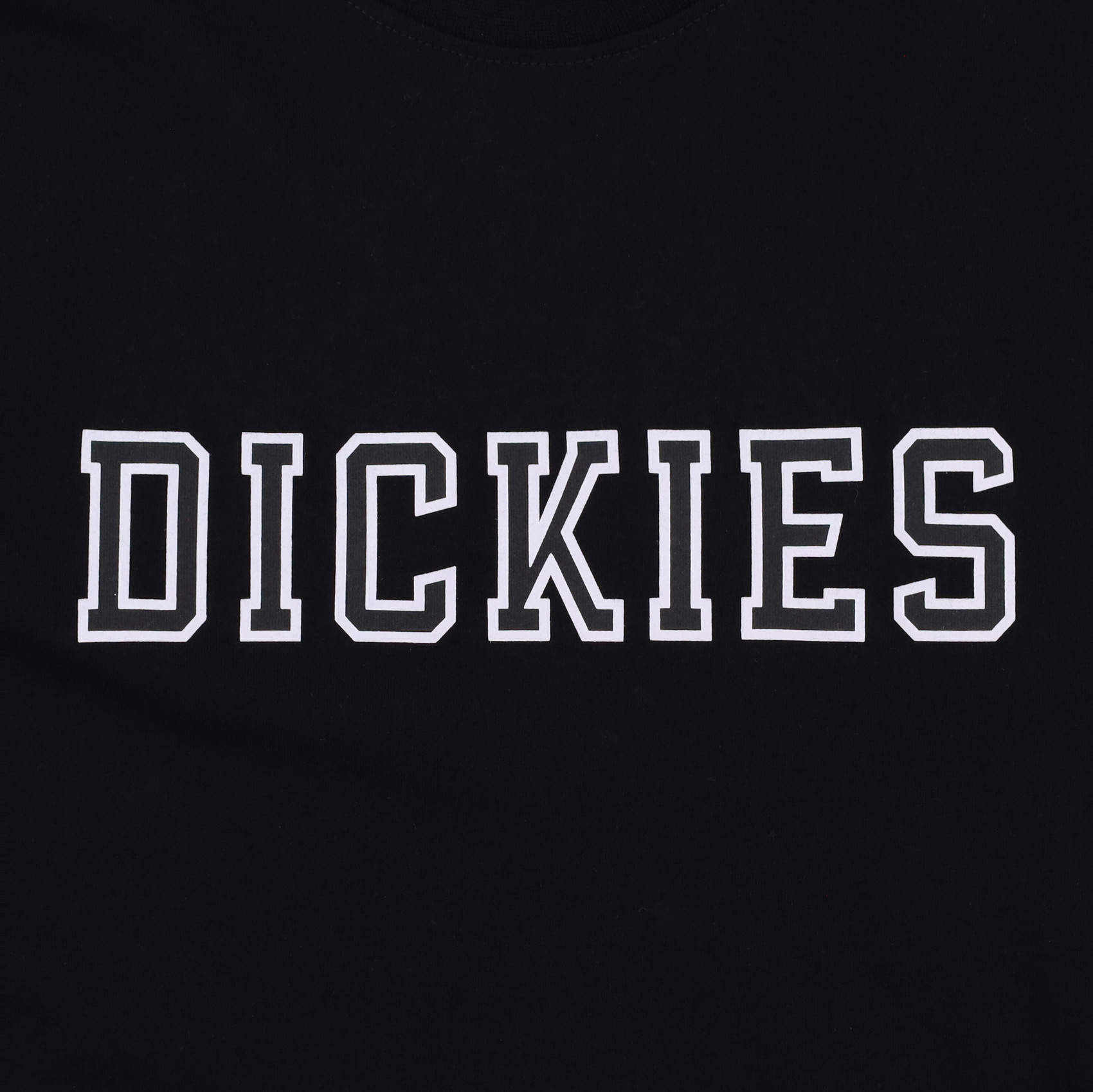 Футболка Dickies Melvern Graphic T-Shirt (black) артикул: - купить в магазине Дайс