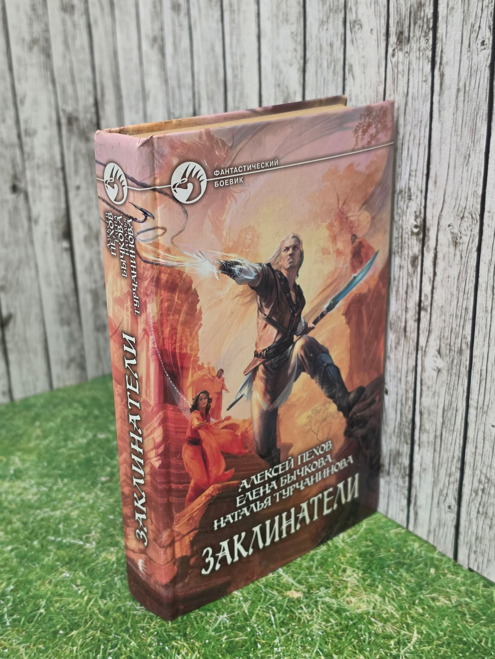 Книга "Заклинатели"