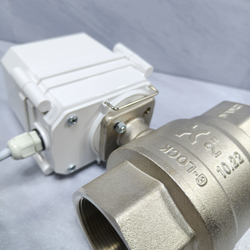 Gidrolock Professional 24V G-lock 2" BS FB