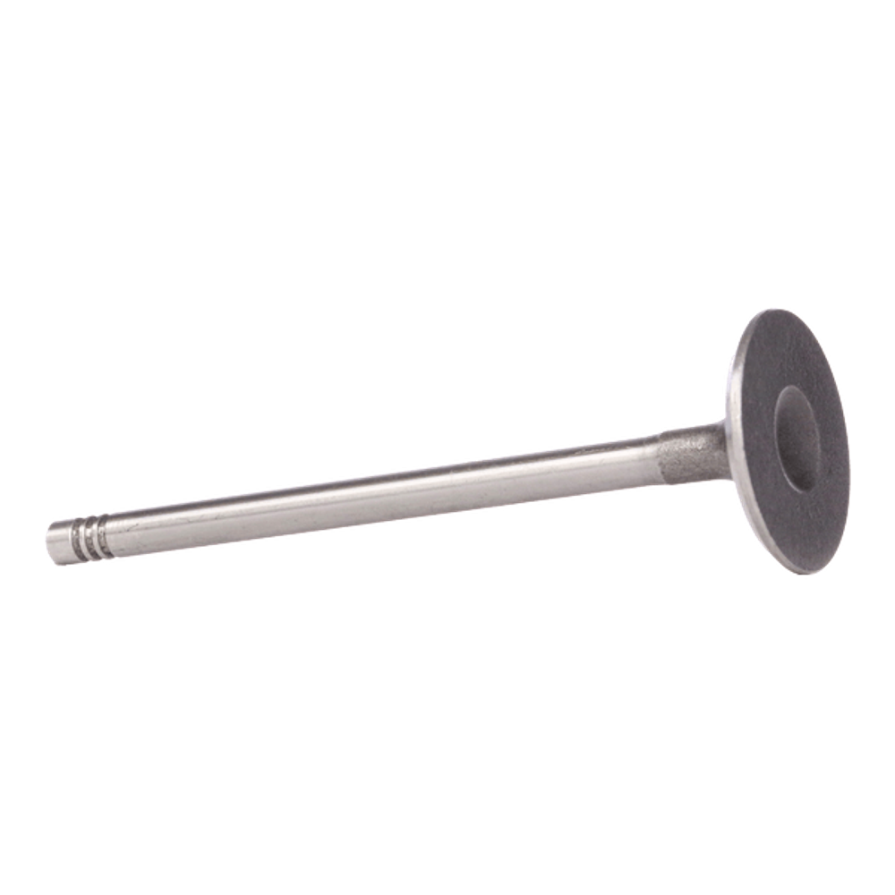 Впускной клапан Iveco 846021 846041 Евротраккер Евротех