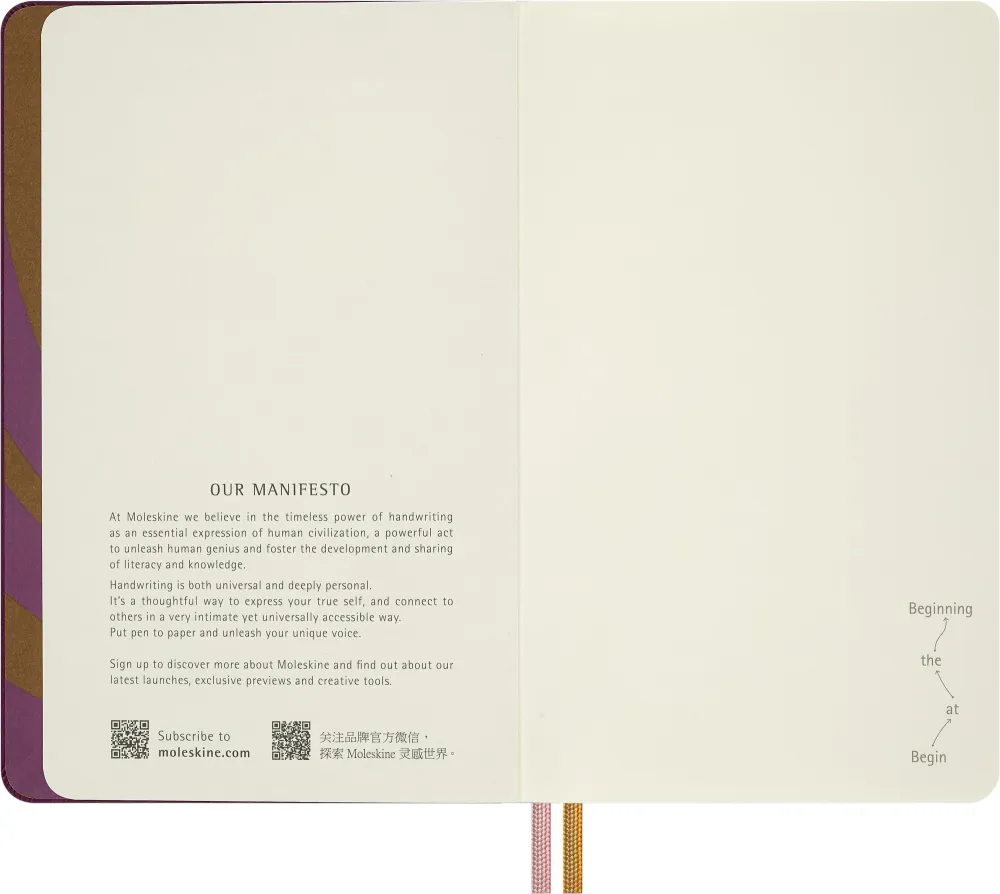 Блокнот Moleskine Limited Alice in Wonderland Large нелинованный (LEAL02QP062)