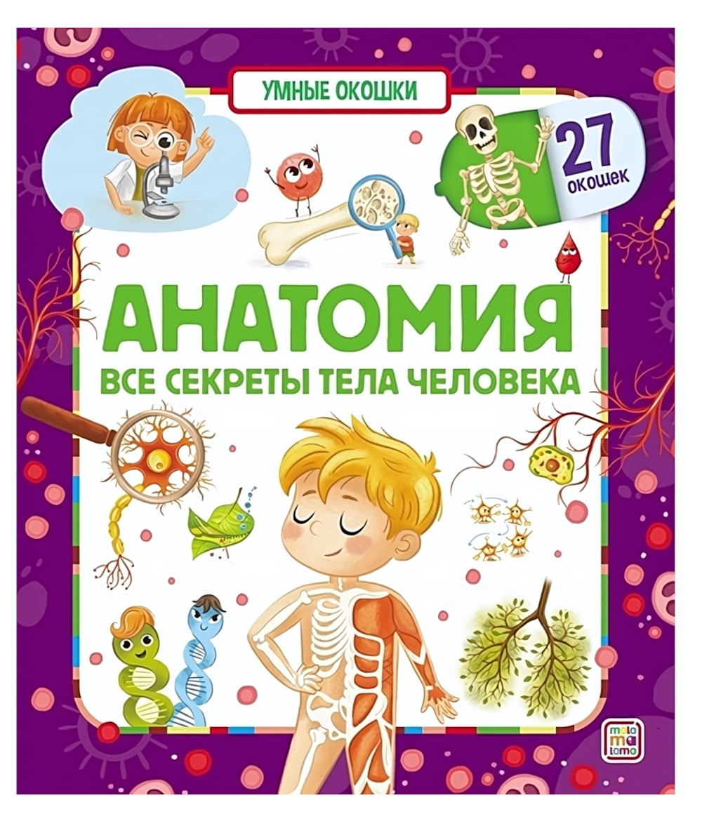 Умные окошки "Анатомия" (Malamalama)