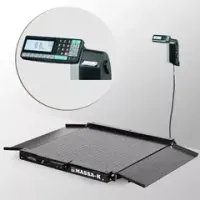Весы пандусные низкопрофильные с печатью этикеток 4D-LA-10/10-500-RL