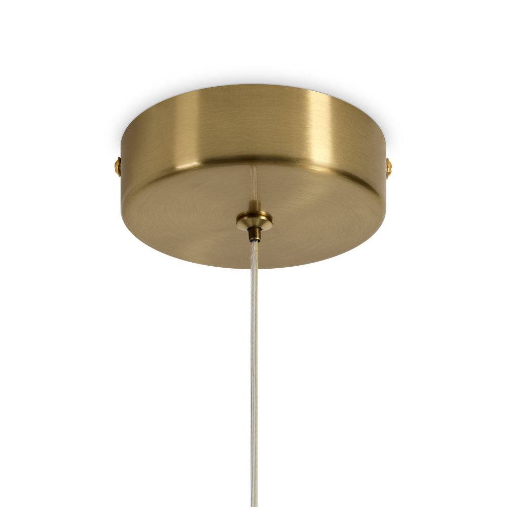 Подвесной светодиодный светильник Freya Mote FR5601PL-01TR