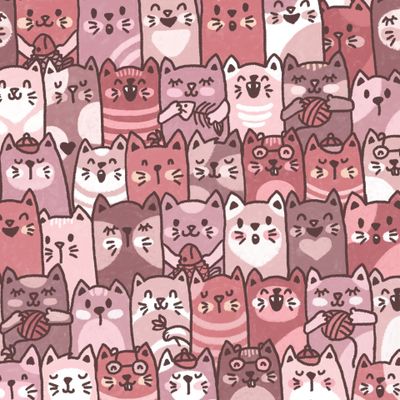 Котики