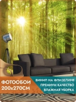 Фотообои на стену Зеленый лес 200х270см
