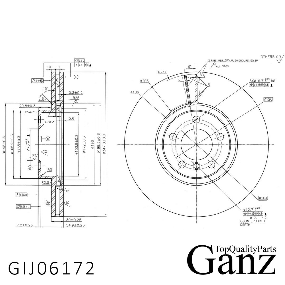 Диск тормозной передний с покрытием BMW X5 E70 2007  GANZ GIJ06172