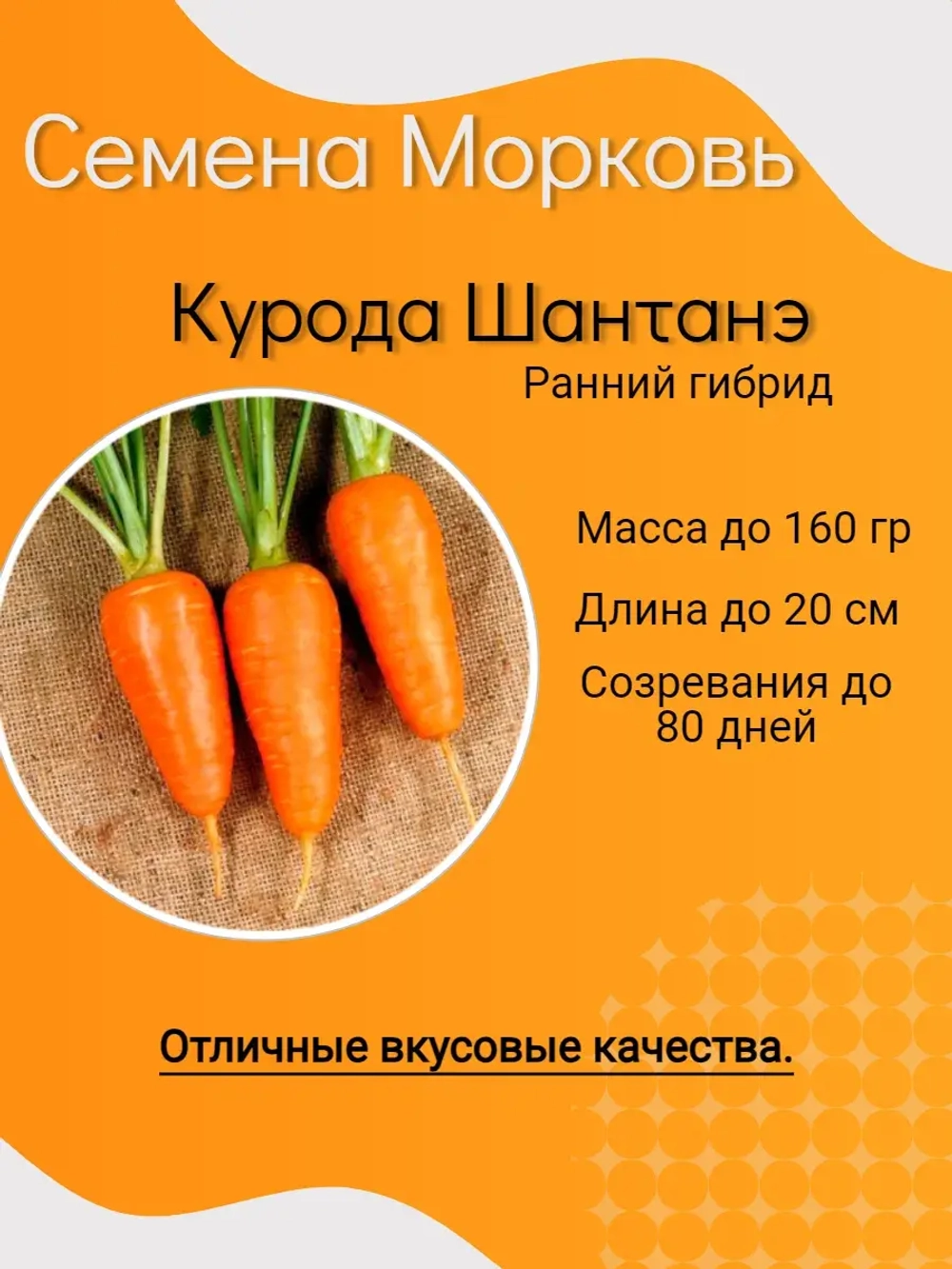 Семена Морковь