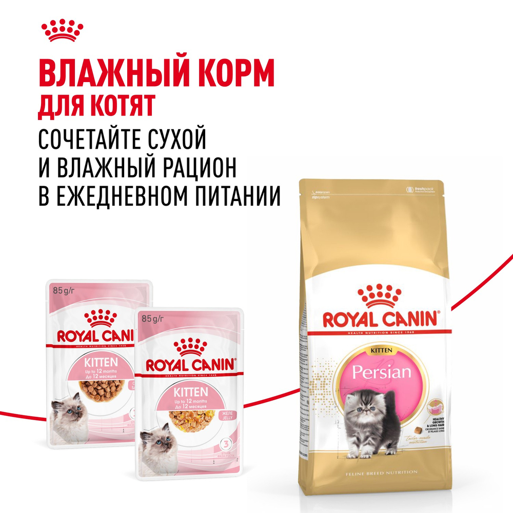 Royal Canin Persian Kitten Персиан Киттен Корм сухой для котят персидской породы до 12 месяцев 400г