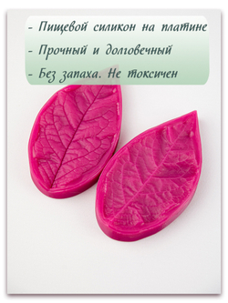 Лист сливы большой