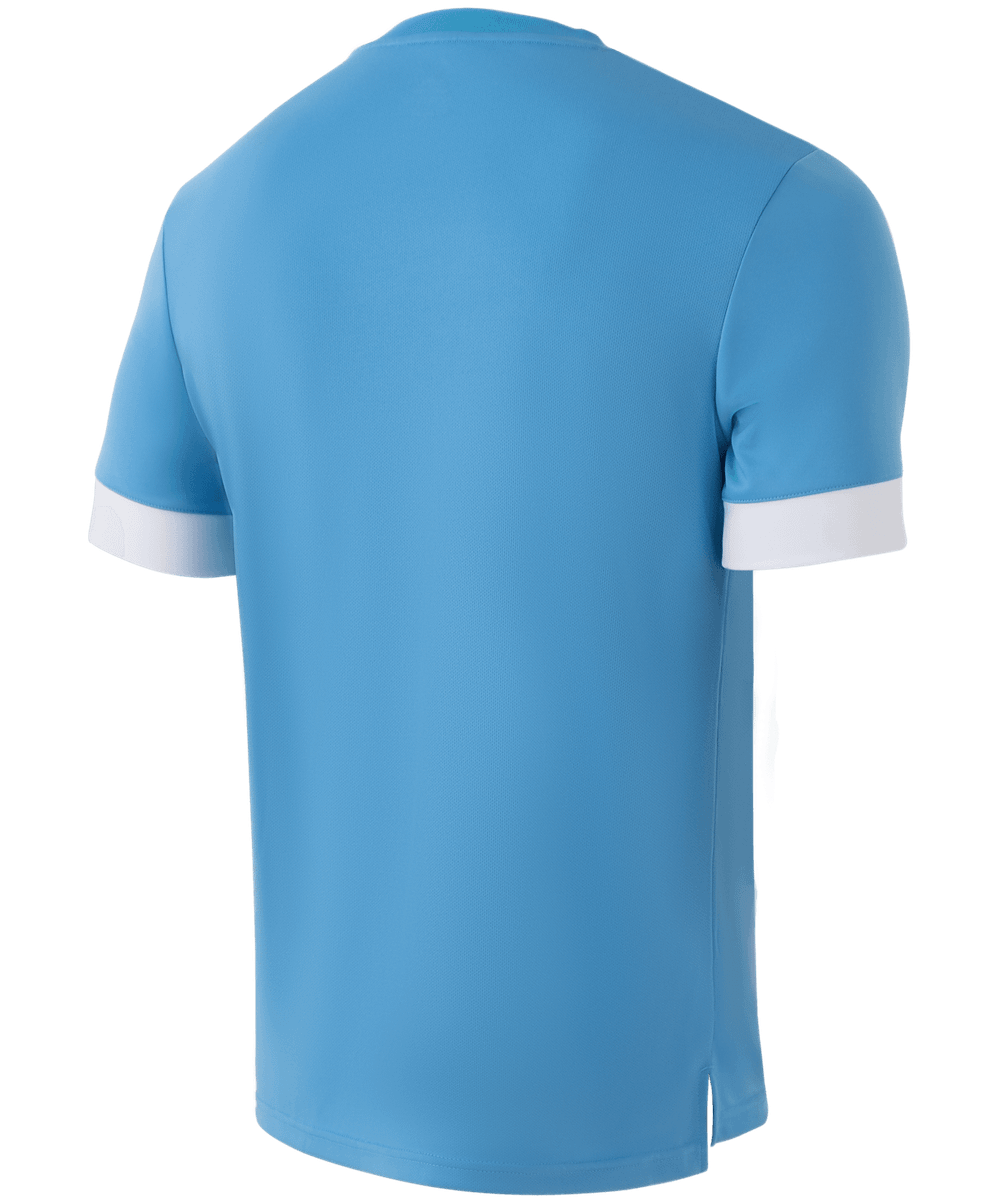 Футболка игровая DIVISION PerFormDRY Union Jersey, голубой/белый/белый