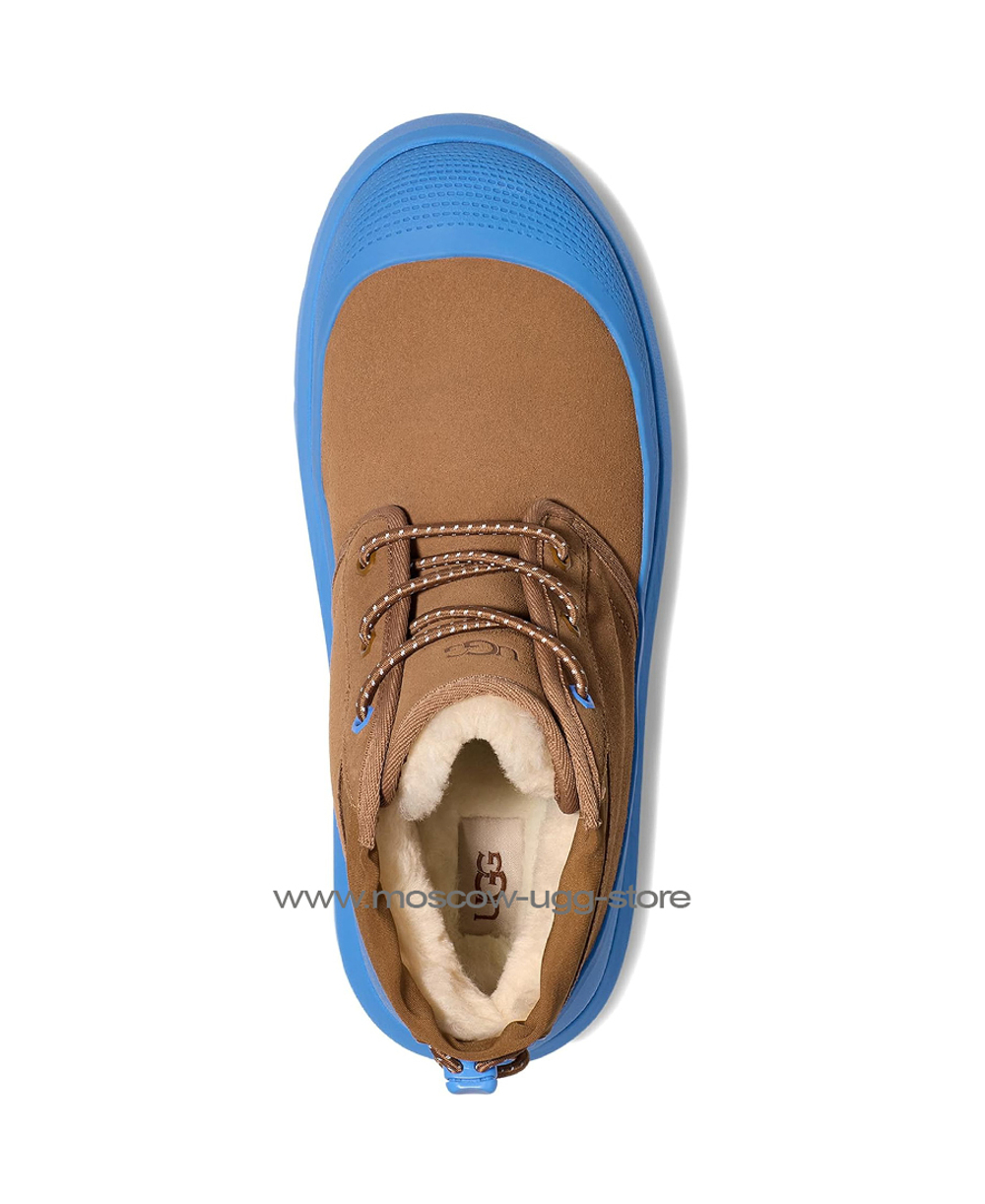 NEUMEL WEATHER HYBRID Chestnut Navy