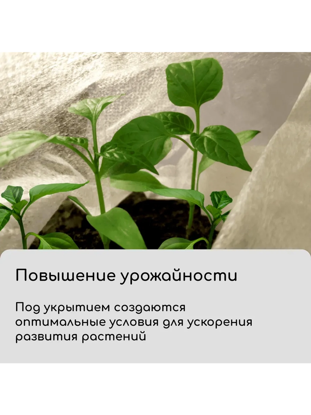 Укрывной материал спанбонд