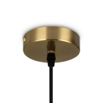 Подвесной светильник Pina FR5387PL-L14BS, LED. TM Maytoni