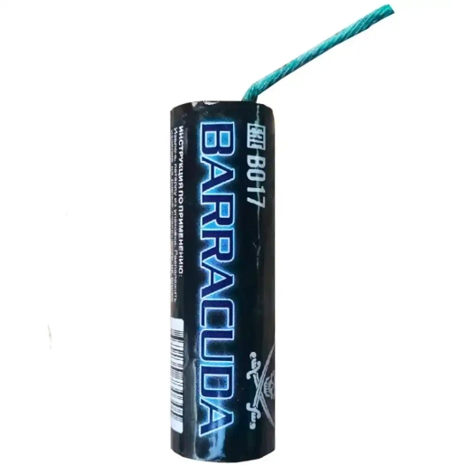 BARRACUDA