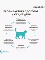 Корм сухой для домашних кошек, Grandorf Cat Lamb&Turkey Indoor Adult для взрослых кошек с нормальной активностью, чувствительным пищеварением или склонных к аллергии, 400 гр (ягненок с индейкой)