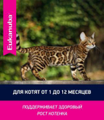 Eukanuba Kitten Healthy Start сбалансированный сухой корм для котят 5 кг
