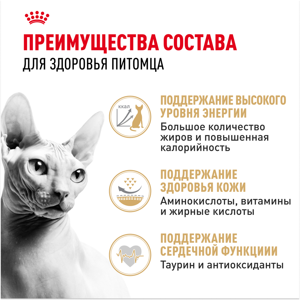 Royal Canin Sphynx Adult Сфинкс Эдалт Корм сухой сбалансированный для взрослых кошек породы Сфинкс от 12 месяцев 400г