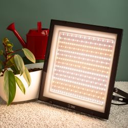 Фитопрожектор для растений светодиодный ЭРА FITO-200W-Ra90-LED полного спектра, профессиональный 200 Вт | Фито прожекторы