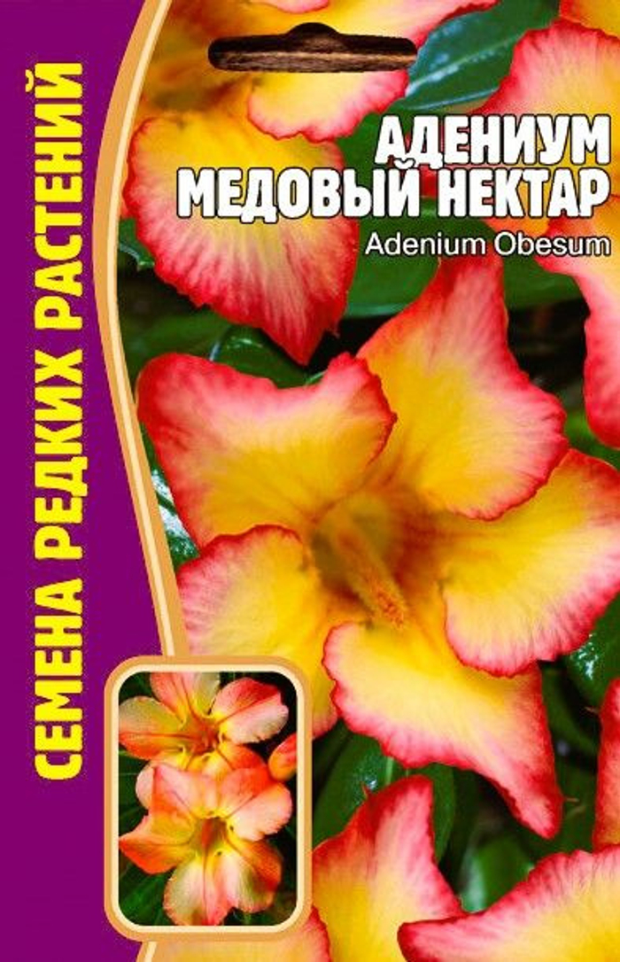 Адениум Медовый Нектар 3шт (Ред.Сем)