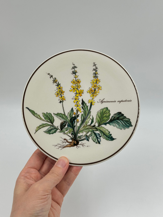 Подставка под горячее или чайник Villeroy & Boch, Botanica