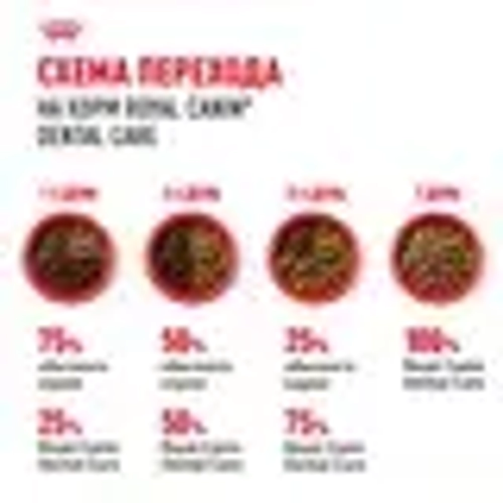 ROYAL CANIN (Роял Канин) Dental Care Корм сухой для взрослых кошек для профилактики образования зубного налета и зубного камня, 400 г