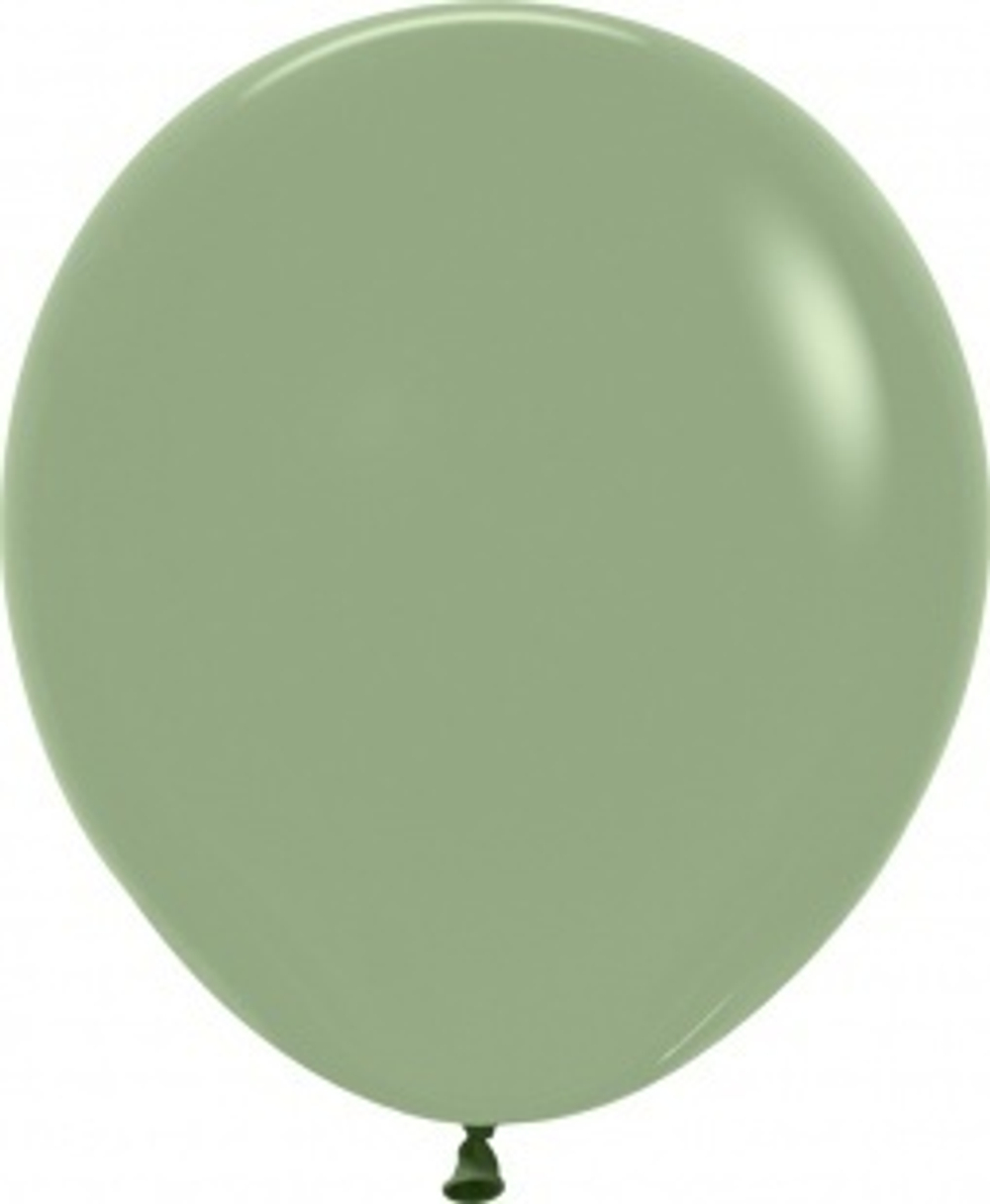 S 18''/45 см, Пастель, Эвкалипт (в сдутом виде)