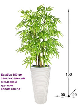 Искусственный Бамбук 150 см светло-зеленый в высоком круглом белом кашпо